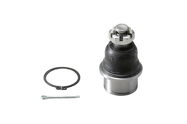 Rotule de suspension (Rotule de pivot) AISIN JBJKI-004